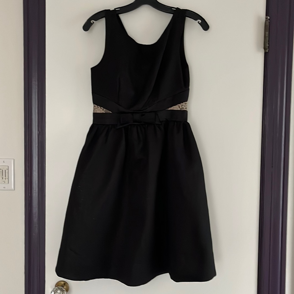 Erin Erin Fetherston Dress  Size 4